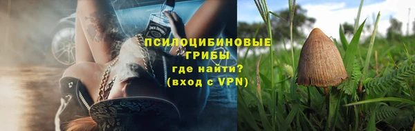 прущая мука Вяземский