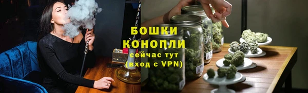 прущая мука Вяземский