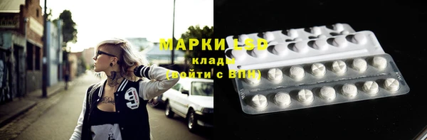 прущая мука Вяземский